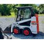 Trees, Skid Loaders, Compact Diesel Tractor