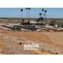 2025 Famoso Farm Auction