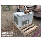 Natural Gas Generator