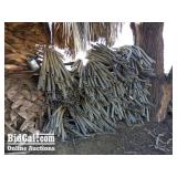 Assorted Siphon Pipe (Between Two Trees)