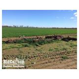 Assorted Ring Roller