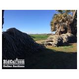 Large Lot of Assorted Siphon Pipe (Between Two Tre