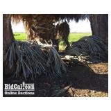 Assorted Siphon Pipe (Between Two Trees)