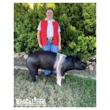 Sophia Salazar - Swine