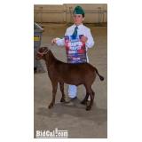 Waylon Grutter - Goat