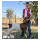 Ryder Johnson - Goat