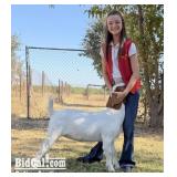 Hayden Johnson - Goat