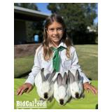 Ella Schiewek - Rabbit