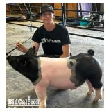 Caden Garcia - Swine