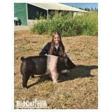 Ava Smith - Swine
