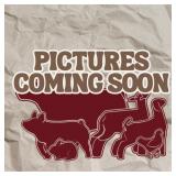Keira Watkin - Rabbit