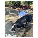 Alexa Cardenas - Swine