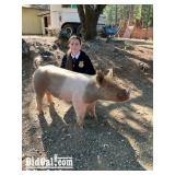 Celeste Cardenas - Swine