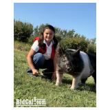 Carter Sanchez - Swine