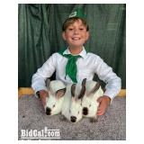 Luka Watkin - Rabbit