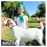 Julia Lema - Goat