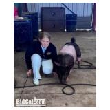 Haylee Devine - Swine
