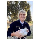 Parker Rollins - Poultry