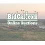 Famoso Farm Auction "Early Bird"