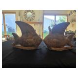 Fish Pair
