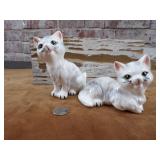 MCM - Kitten S & P Shakers