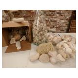 Seashells, Glass Jar