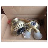 Hunter Ceiling Fan wih Light Fixture