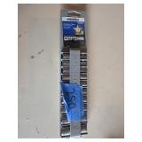 Craftsman Metric Socket Set - 10