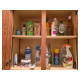 Assorted Household Cleaning Supply Lot