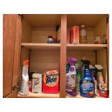 Household Cleaning and Maintenance Lot