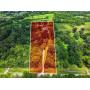 Absolute Auction 9 Acres Beautiful Prime Location 
