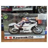 Factory Sealed Protar Kawasaki 250 1:9 Scale