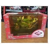 Guitoy Kawasaki Ninja ZX-RR/World Superbike