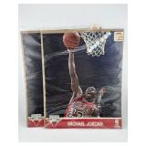 1991 Chicago Bulls 25th Anniversary