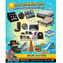 Is It Summer Yet Massive Online Auction