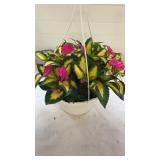 Compact Tropical Rose 10" Hanging Basket