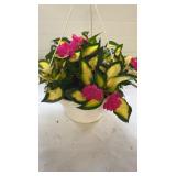 Compact Tropical Rose 19" Hanging Basket