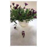 Daisy Falls 10in Hanging Basket