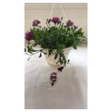 Daisy Falls 10in Hanging Basket