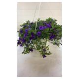 Minifamous Neo Double Dark Blue 10" Hanging Basket