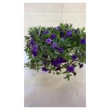 Minifamous Neo Double Dark Blue 10" Hanging Basket