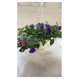 Mixmaster 10" Hanging Basket