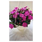 Compact Hot Pink 10" Hanging Basket