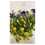 Mixmasters 10" Hanging Basket