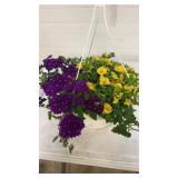Mixmasters 10" Hanging Basket