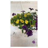 Mixmaster 10" Hanging Basket