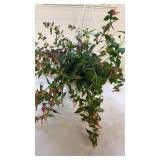 Mixmaster Hot Spell 10" Hanging Basket