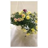 Mixmasters 10" Hanging Basket