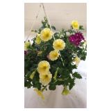 Mixmasters 10" Hanging Basket