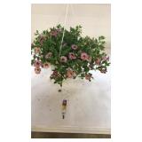 Chameleon Blueberry Scone 10" Hanging Basket